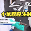 动物实验：小鼠腹腔注射