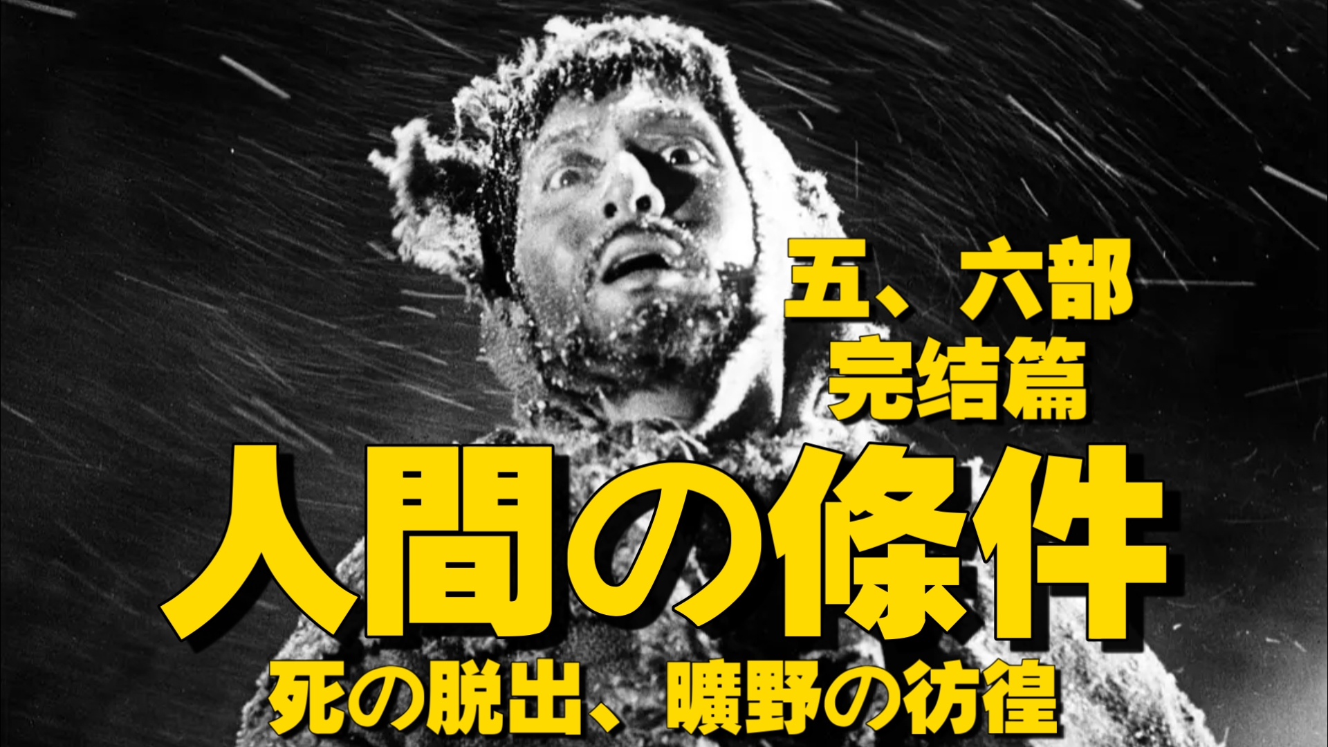人间的条件 第五～六部完结篇 死的脱出篇～旷野的彷徨(1961) 日本 / 剧情 / 战争 仲代达矢成名作