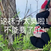 家人们，谁懂啊！爬山穿的袜子实在是太上头啦