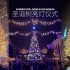 世界各地的圣诞树亮灯仪式