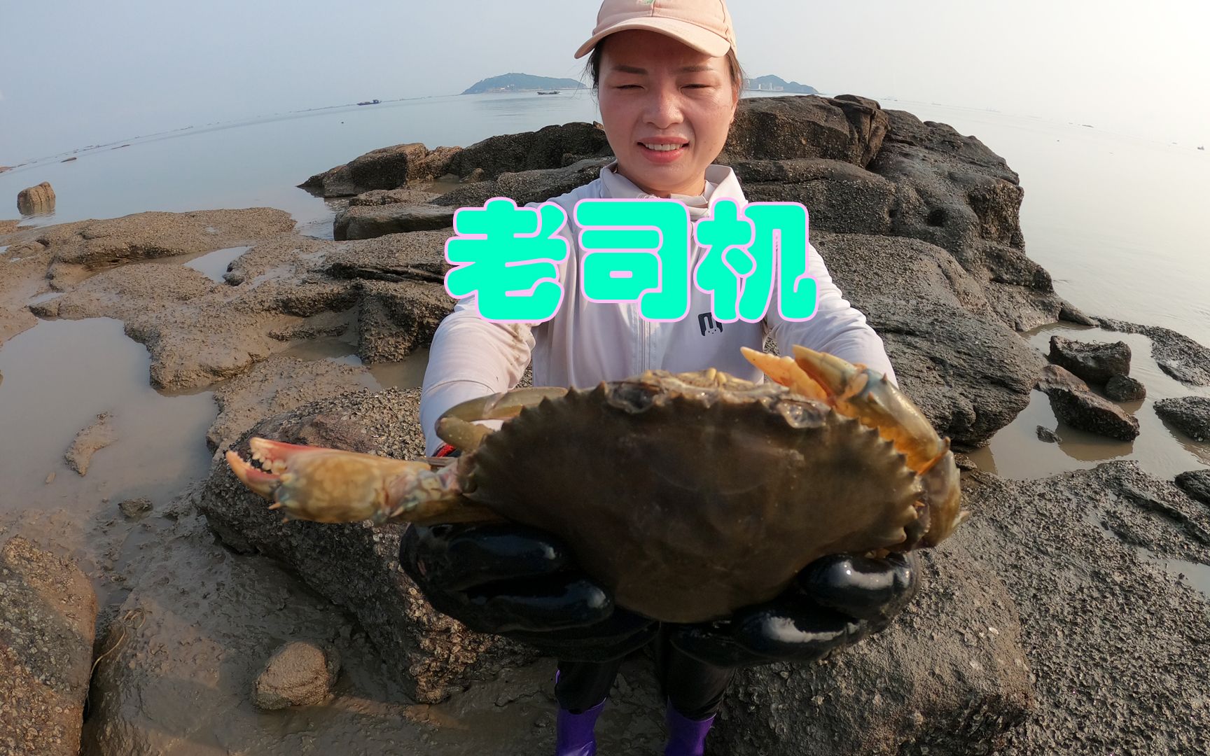 吴嫂到海赶海,海货成双成对跑出来,还收获有十年历史的老司机