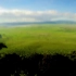 坦桑尼亚--野性的呼唤