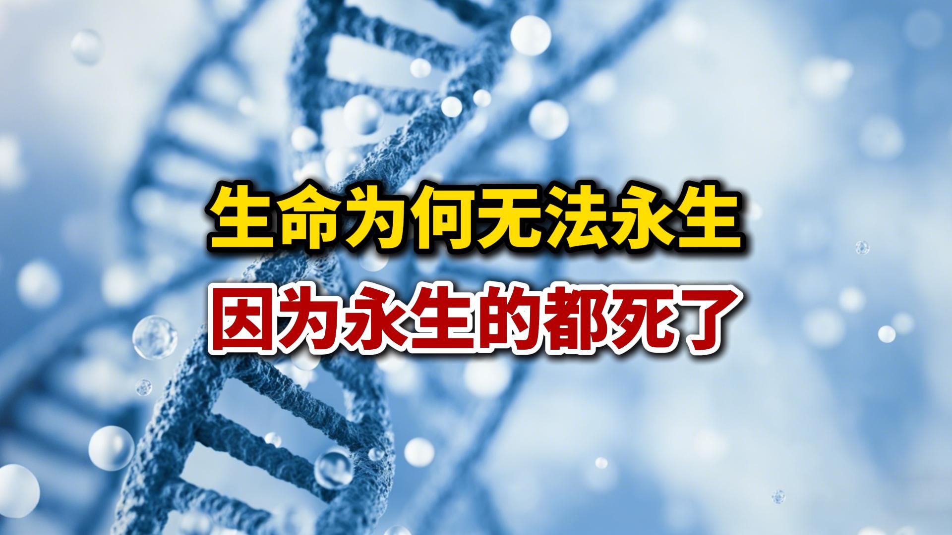 生命为何无法永生？因为永生的生命都死了
