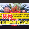 苏林当选越共中央总书记（中越双语对照字幕