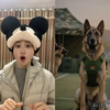 关注中国军犬