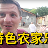超冷门前苏联小国！英国老外体验亚美尼亚农家乐，像极了云南长街宴