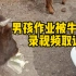 男孩作业被牛吃了录视频取证