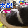 ▽广濑铃访问萎靡不振的池崎家