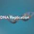 【高中生物知识动画】DNA复制的过程