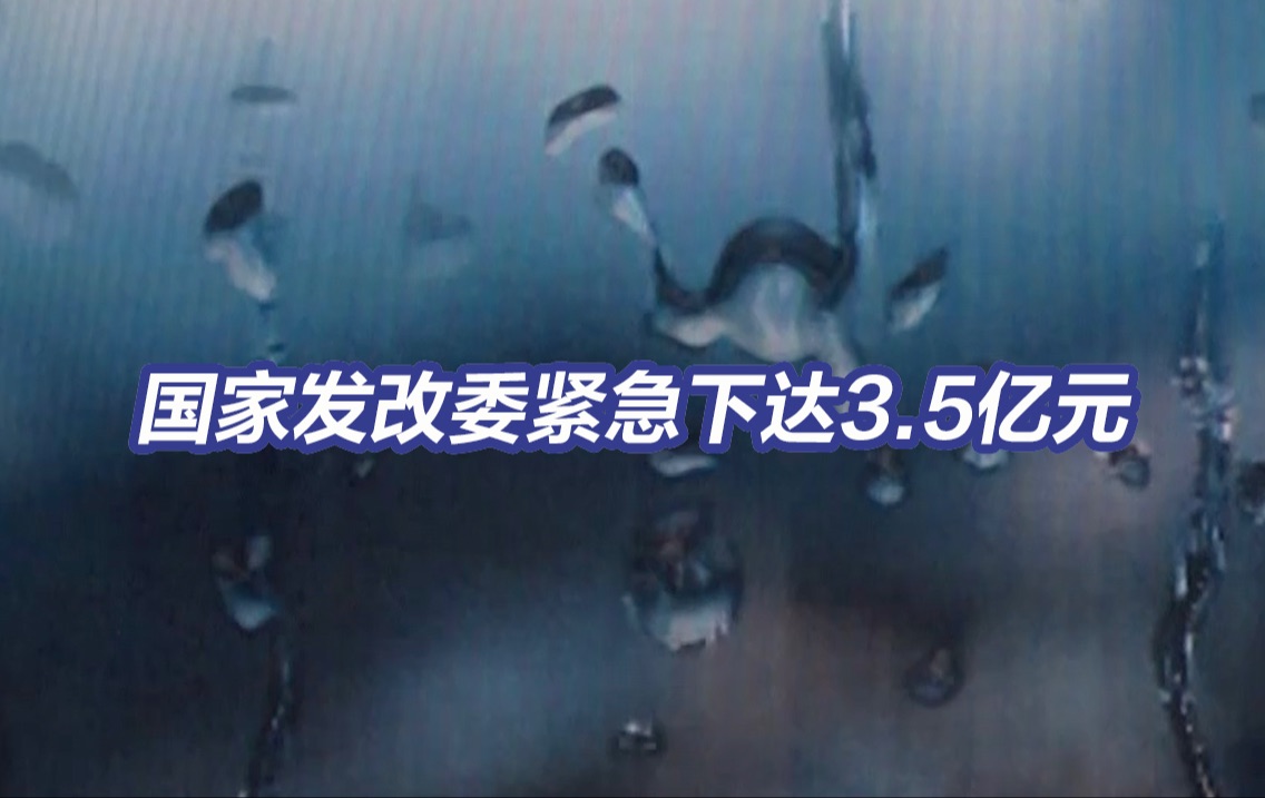 国家发改委紧急下达3.5亿元支持3省暴雨洪涝灾后恢复哔哩哔哩bilibili