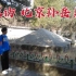 探访北京孙岳墓，在医院内占地5万多平方米，豪华程度超出想象！