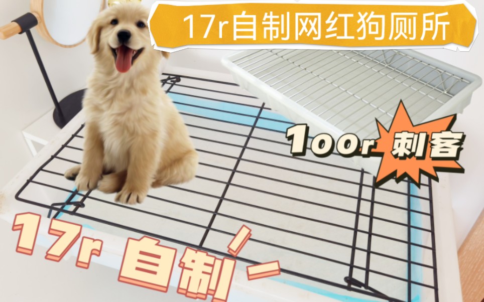 宠物用品刺客退！退！退！17元自制网红宠物狗厕所教程