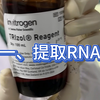 一个视频学会Trizol法提取RNA（bushi