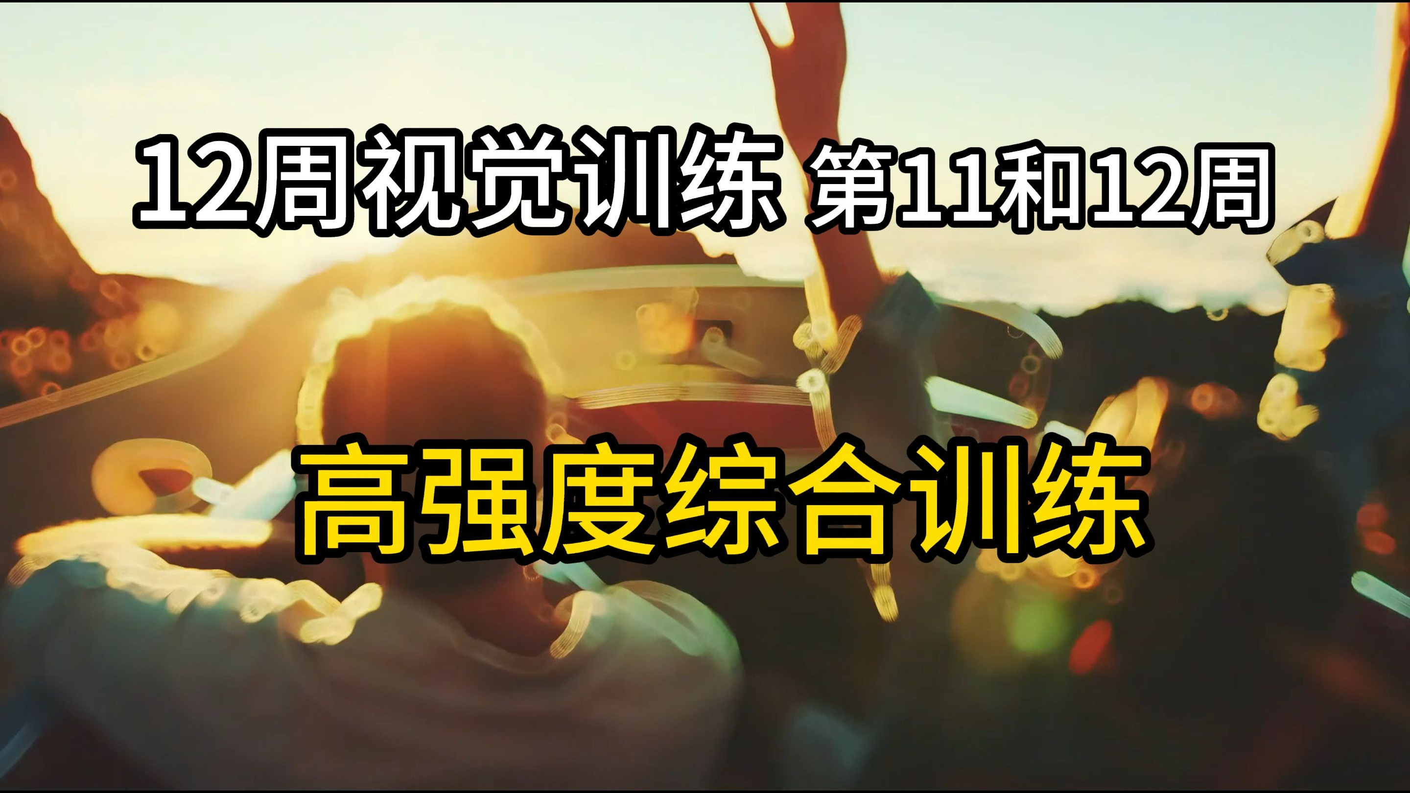 12周视觉训练 第十一 十二周 综合训练