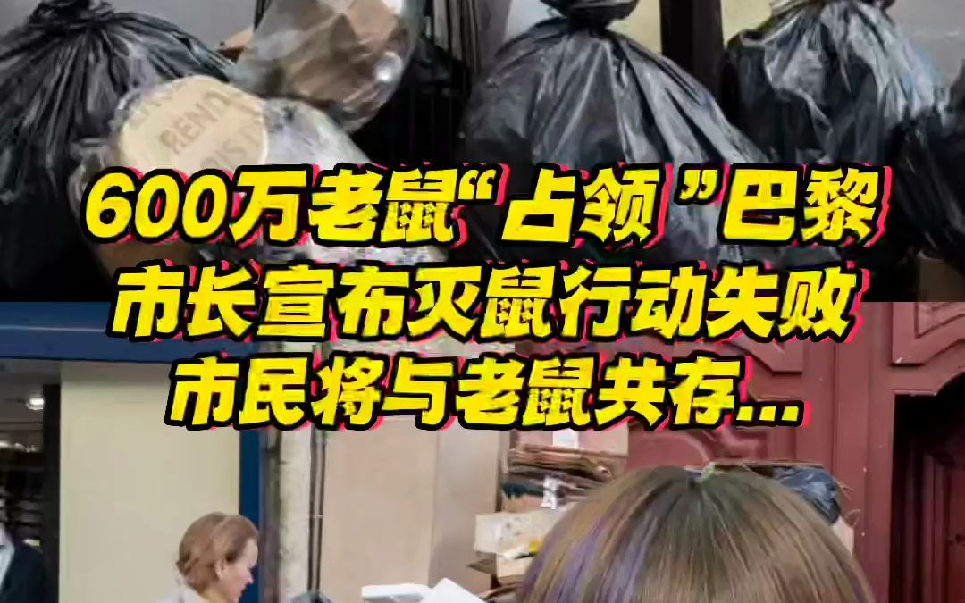 600万老鼠“占领”巴黎!市长宣告灭鼠行动失败,市民将与老鼠共存……哔哩哔哩bilibili