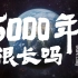 5000年很长吗？用500秒讲述中华民族的源起、共生与未来！看完热血沸腾！