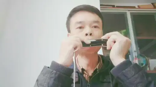 半音阶口琴演奏《凉凉》