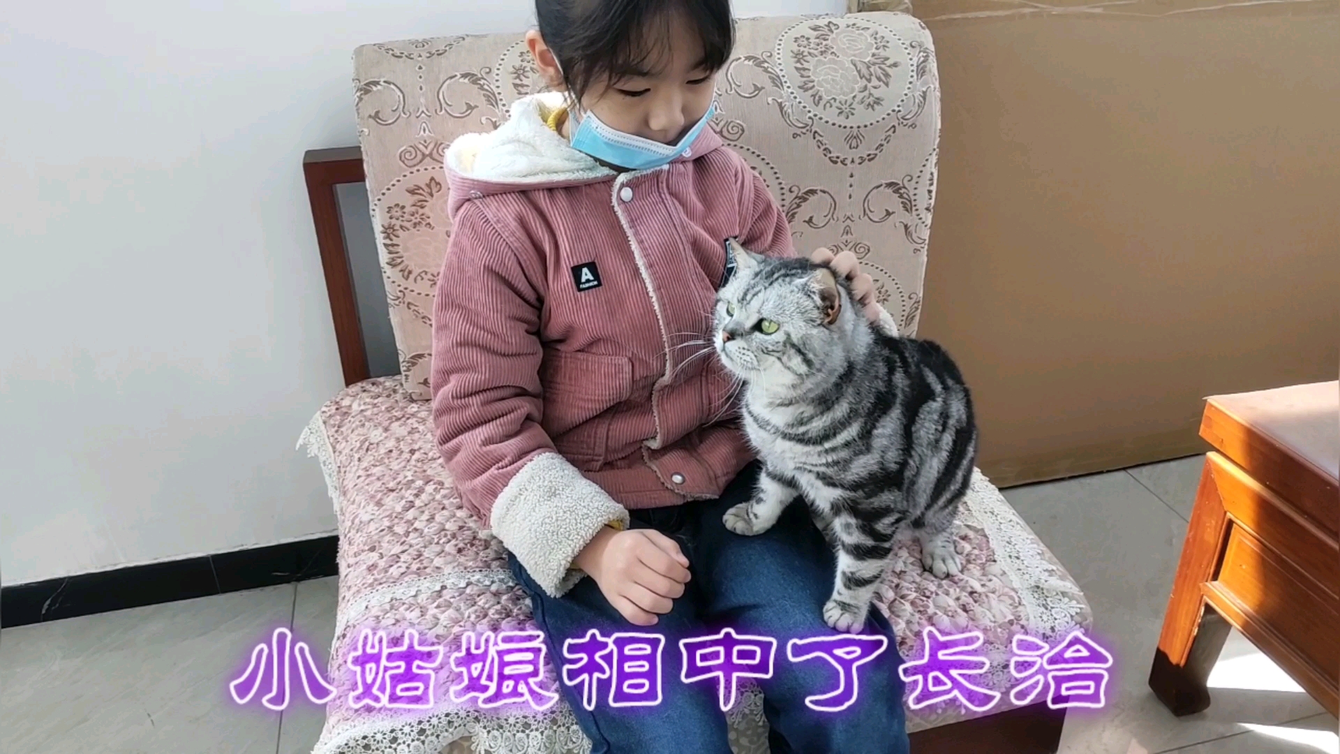 猫咪的热情待客之道:小姑娘来家做客一眼就喜欢上了长治哔哩哔哩 (゜゜)つロ 干杯~bilibili