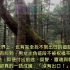 日本真实恐怖故事01 ---青木原樹海詳細介紹--[星海藍原創影片] （修剪版）