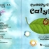 英语启蒙绘本《Creepy crawly calypso》一首关于动物与乐器认知的绘本,十种昆虫分别伴奏不同的乐器,用精
