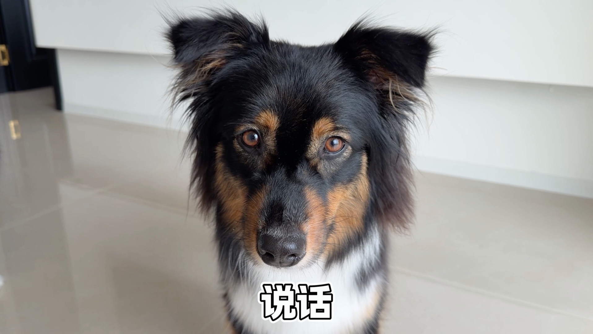 出场费一次一结
