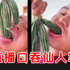 我的天！真TM狠人呐