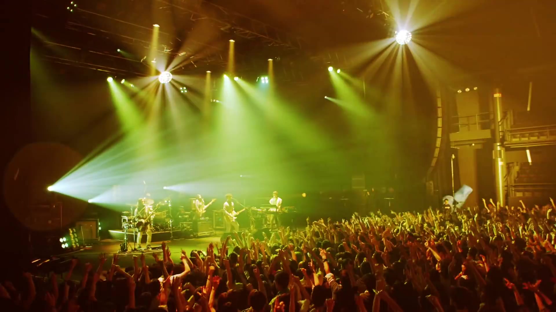 sakanaction-鱼韵/ 【aoi】[live]