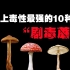 世界上最毒的10大“剧毒蘑菇”，一口就能让我们丧命的致命毒物！