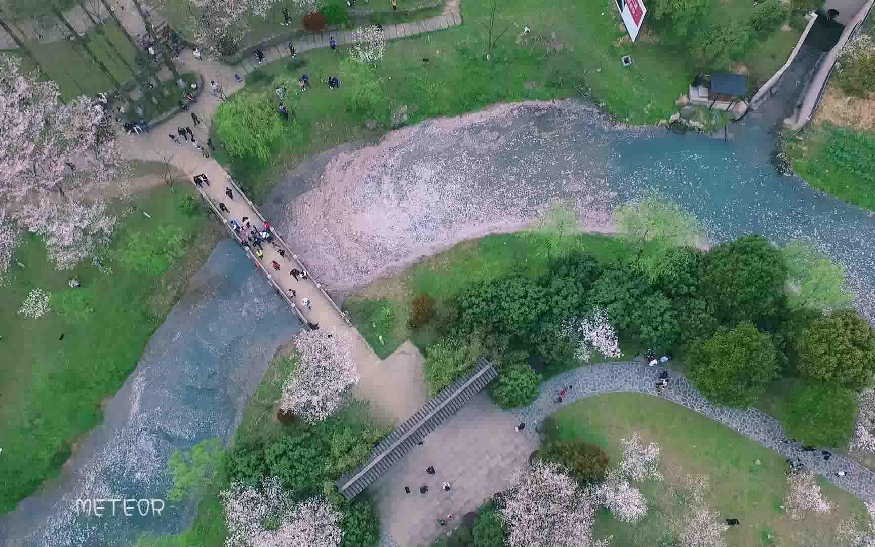 绍兴宛委山樱花林_哔哩哔哩_bilibili