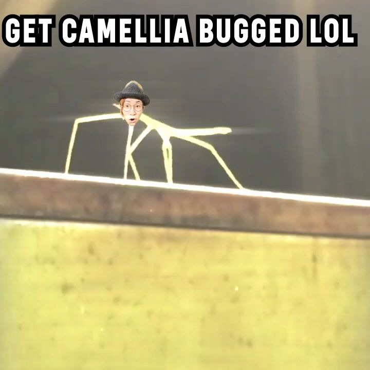 山茶花camelliaかめりあgetstickbuggedmememiniremix