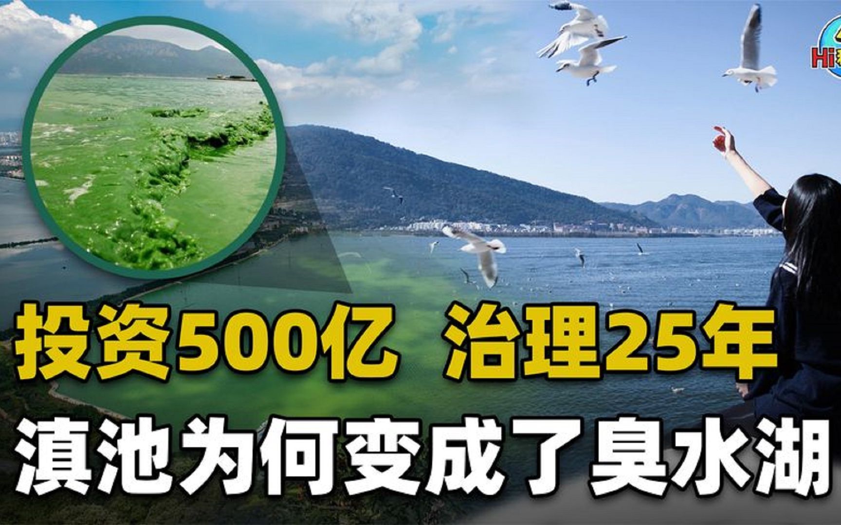 滇池变成臭水湖,拨款500亿、耗时25年难治理,矛头直指地产行业哔哩哔哩bilibili