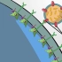【JoVE】细胞膜及细胞运输 5.12 受体介导的内吞作用/Receptor-mediated Endocytosis