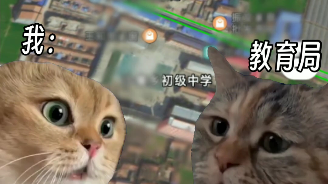 本人已疯