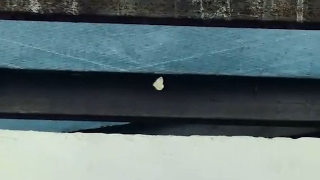 “它被困在那儿了。”妈妈和孩子不经意的一段对话，却让人陷入思考。网友：没关系，四处走走吧！