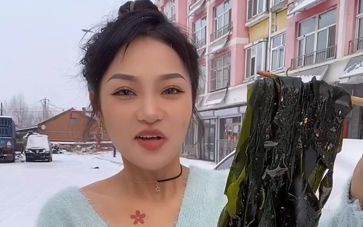 雪地里的冒烟大海带。