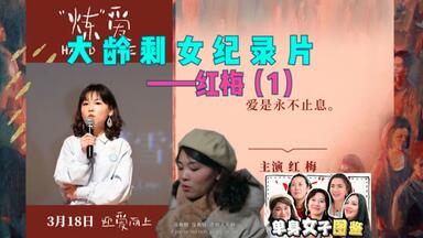 炼爱，大龄<em class="keyword">剩女纪录片</em>之红梅，第1集。