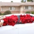 【浪漫】男子情人节买1000朵玫瑰花放到女友车内，女友感动到落泪