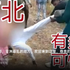可怕的缅北娇贵的小公主你还敢来吗