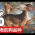 十种最古老的狗狗品种 - 10大汪星人系列