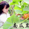 【李子柒】南瓜盅