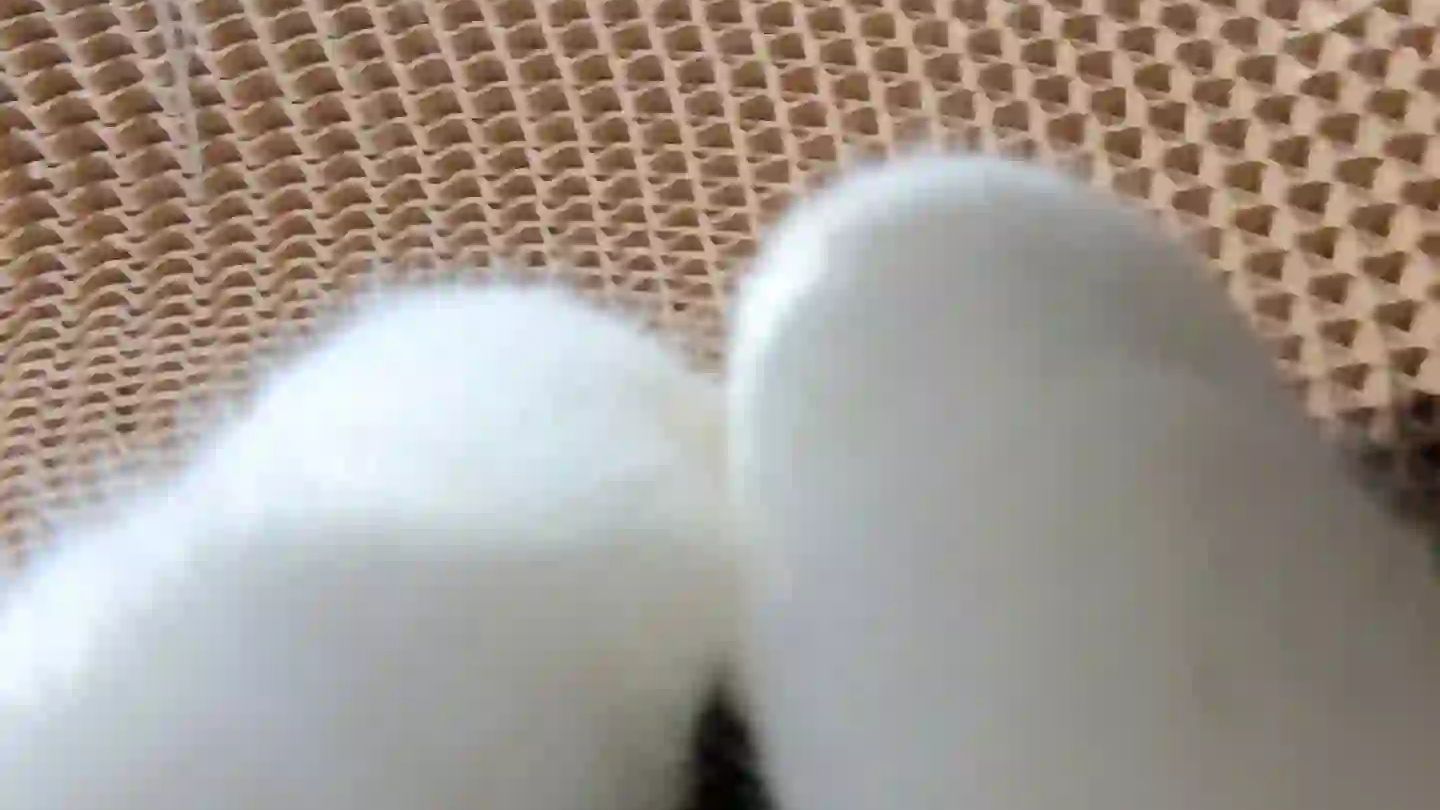 白爪配白袜臭的不像话
