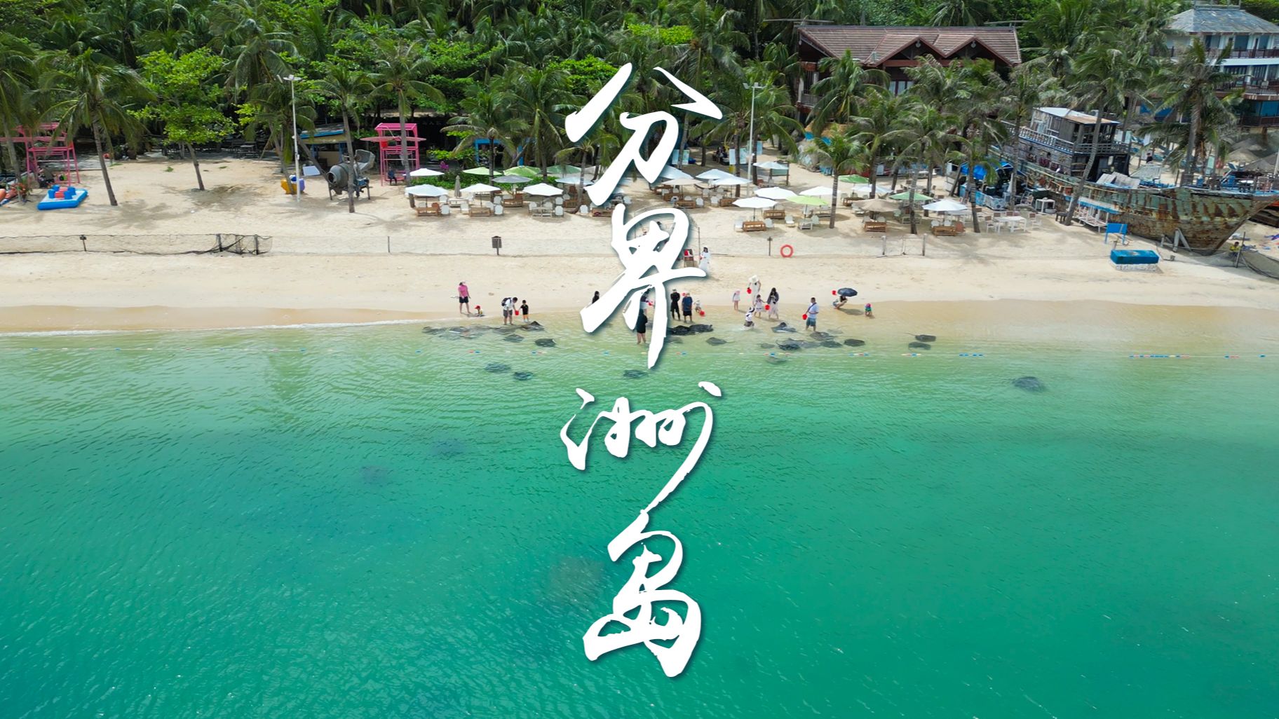 【分界洲岛两天一夜带娃VLOG】🌴魔鬼鱼零距离！海岛亲子游比想象中更治愈！