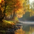 秋之极乐：沿着宁静的森林河流进行一小时的放松之旅