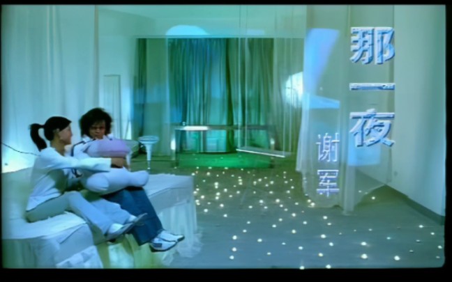 谢军-那一夜 mv ktv 2005年