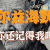 阿尔兹海默是如何被发现？到目前有什么研究进展