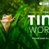 【B站最全最赞版本】《Tiny World》小小世界1-2季中英文版全套4K 从幼儿到成人英语学习必看纪录片
