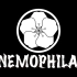 【NEMOPHILA】油管视频部分搬运