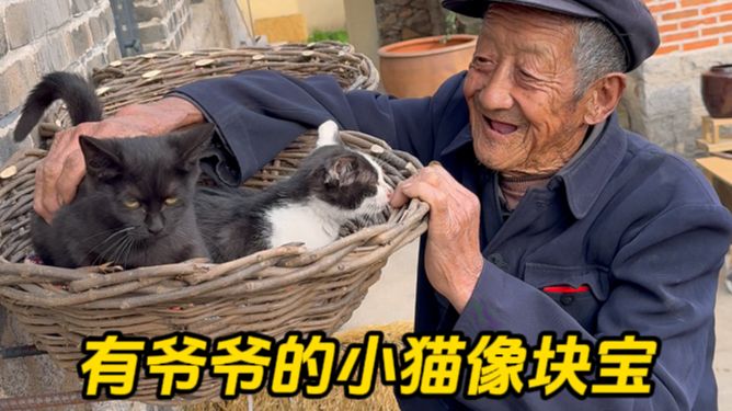 爱猫男老时候