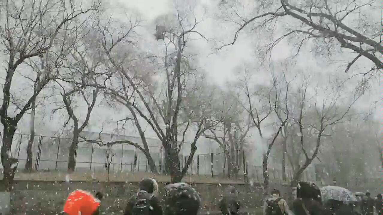 犬冢信乃_戍孝