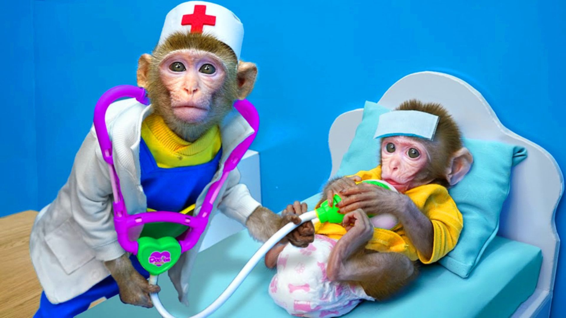 有趣的小猴子：猴子宝宝突然生病，医生能帮助它渡过难关？